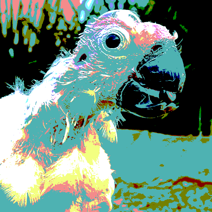 BIRDCALL